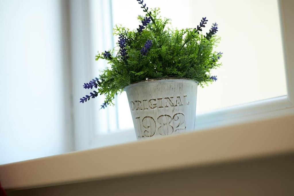 Apartment Cozy Modern Km 0 Craiova